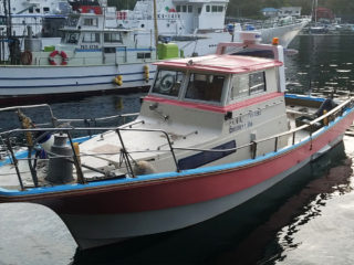 お客様の声-なわ安の釣船で伊豆大島へ釣行2019