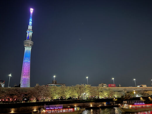 2026年度のお花見屋形船画像