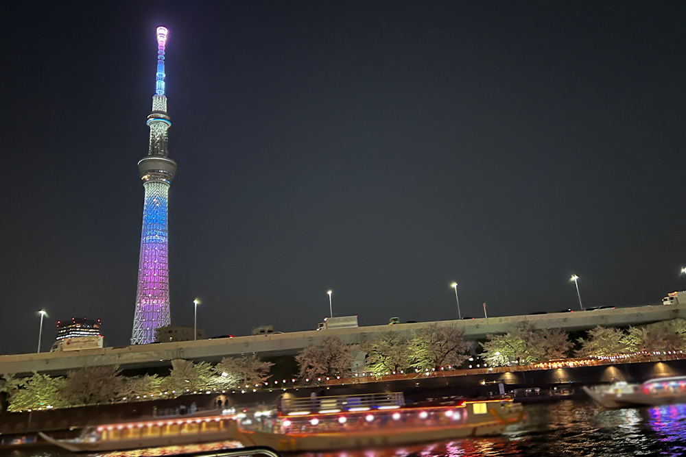 2026年度のお花見屋形船画像