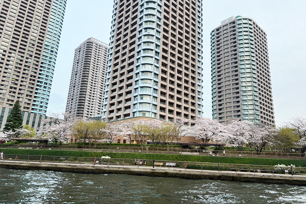 2026年度のお花見屋形船画像